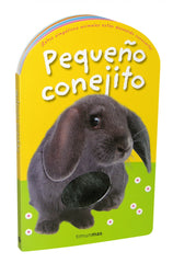 Pequeño conejito: Con texturas en el interior