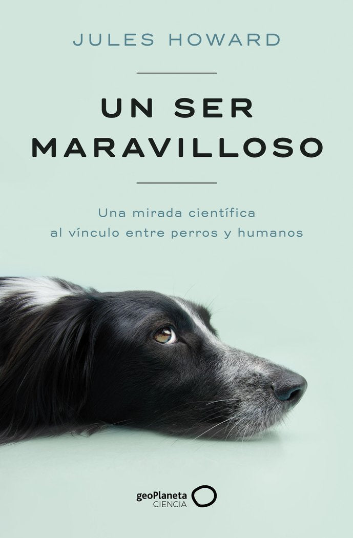 UN SER MARAVILLOSO | JULES HOWARD | GEOPLANETA | 9788408269328 Imagen principal del producto