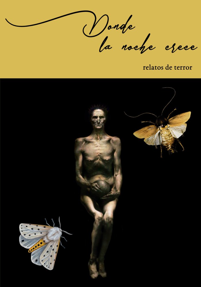 DONDE LA NOCHE CRECE I Varios autores I Escuela de Imaginadores I 9788409327010 Imagen principal del producto