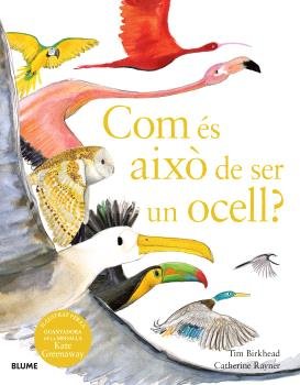 COM ÉS AIXÒ DE SER UN OCELL? I Birkhead, Tim;Rayner, Catherine I BLUME (Naturart) I 9788410048102 Imagen principal del producto