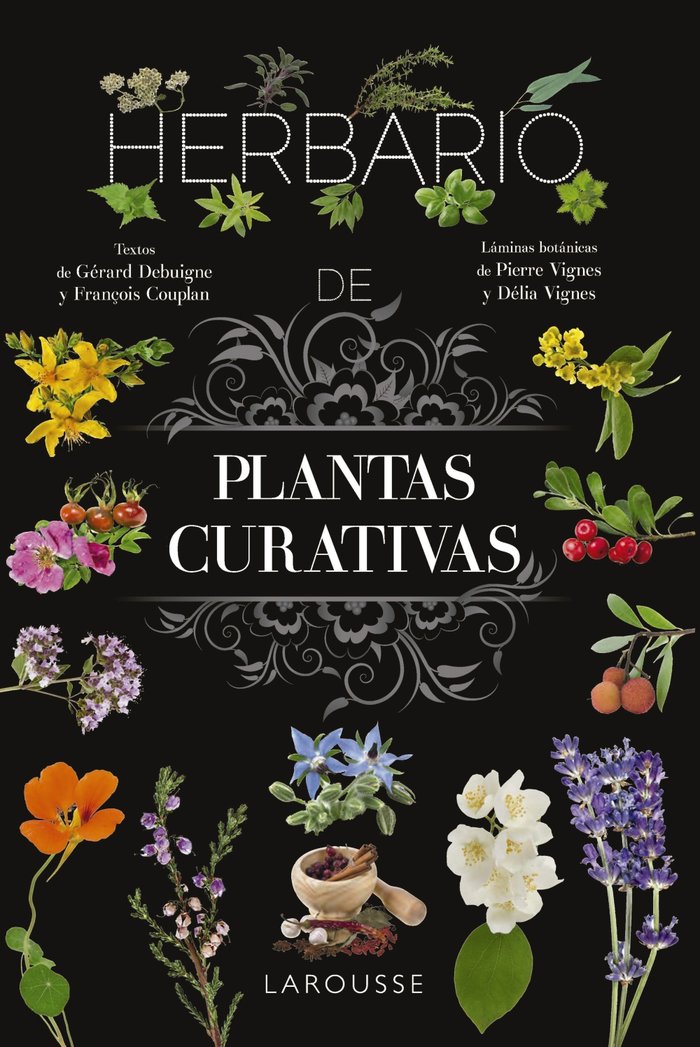 9788410124110 Imagen principal del producto