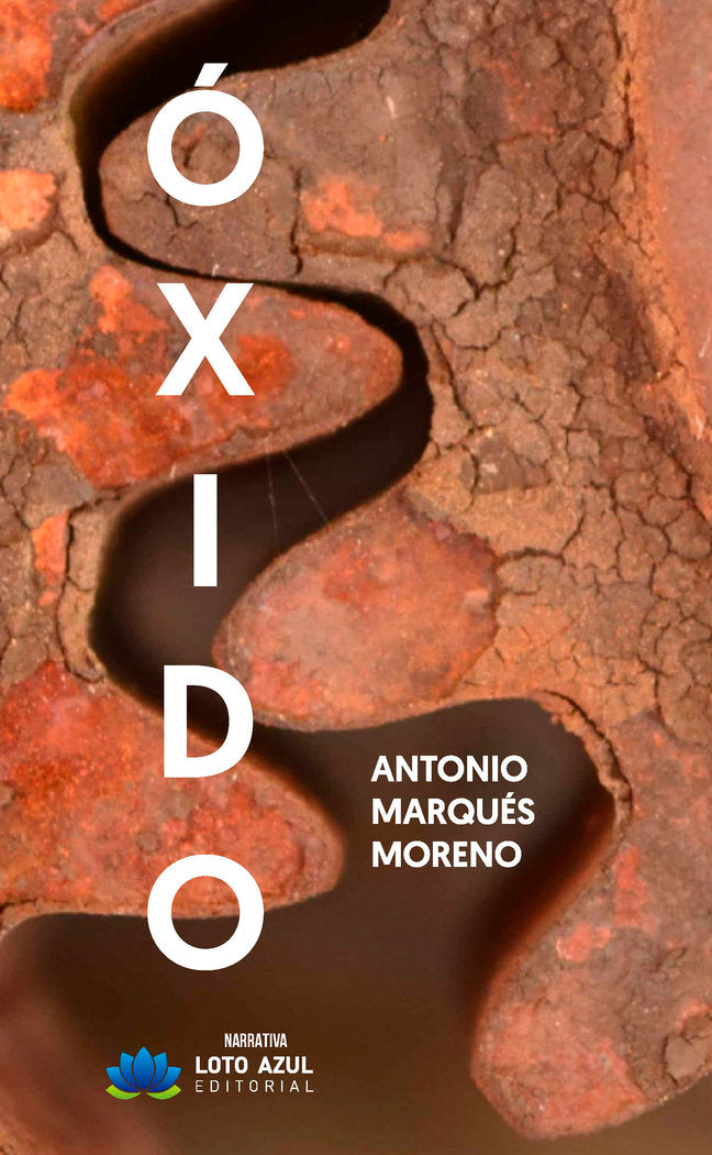 OXIDO - 9788410162464 Imagen principal del producto