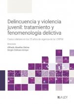 DELINCUENCIA Y VIOLENCIA JUVENIL TRATAMIENTO Y FENOMENOLOGI - 9788410292352 Imagen principal del producto