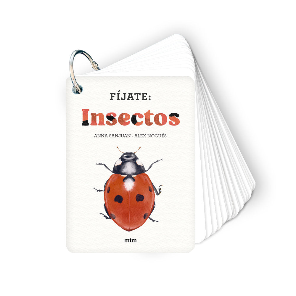 FIJATE INSECTOS - 9788410407183 Imagen principal del producto