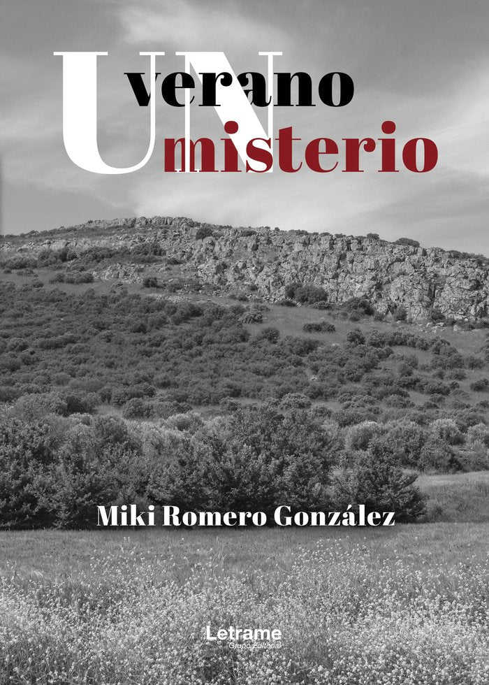 UN VERANO UN MISTERIO - 9788410684607