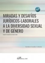 MIRADAS Y DESAFIOS JURIDICOS LABORALES A LA DIVERSIDAD SEXUA - 9788410700048 Imagen principal del producto