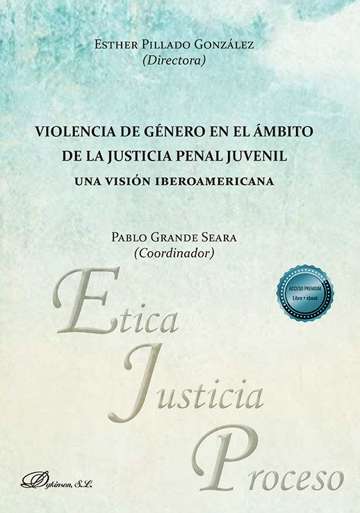 VIOLENCIA DE GENERO EN EL AMBITO DE LA JUSTICIA PENAL JUVENI - 9788410704763