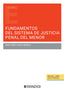 FUNDAMENTOS DEL SISTEMA DE JUSTICIA PENAL DEL MENOR - 9788410788664