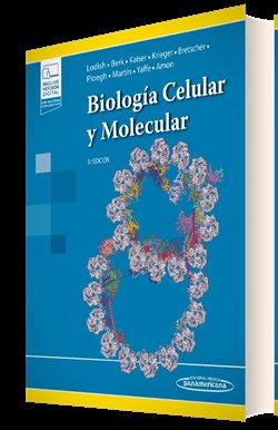 BIOLOGIA CELULAR Y MOLECULAR - 9788411061896 Imagen principal del producto