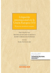 LITIGACION EN LA UNION EUROPEA VI - 9788411250542