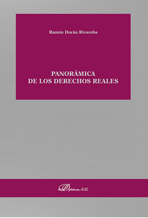 PANORAMICA DE LOS DERECHOS REALES - 9788411700870 Imagen principal del producto