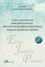 TUTELA COLECTIVA DE DERECHOS HUMANOS Y OBJETIVOS DE DESARROL - 9788411704724