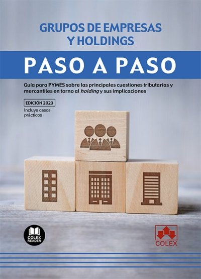 GRUPOS DE EMPRESAS Y HOLDINGS PASO A PASO - 9788411941082 Imagen principal del producto