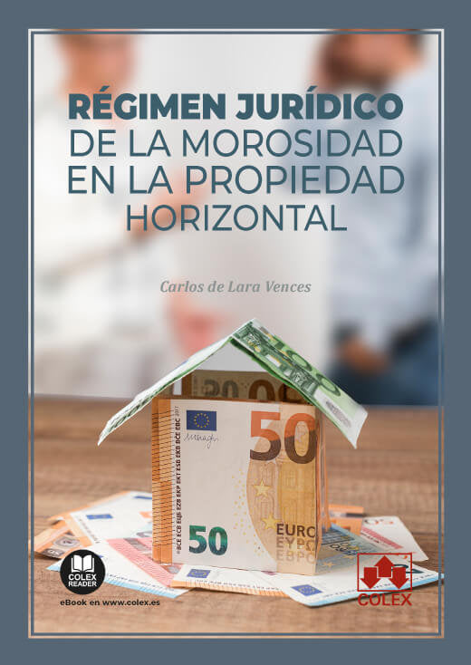 REGIMEN JURIDICO DE LA MOROSIDAD EN LA PROPIEDAD HORIZONTAL - 9788411941242