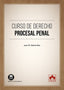CURSO DE DERECHO PROCESAL PENAL - 9788411944908