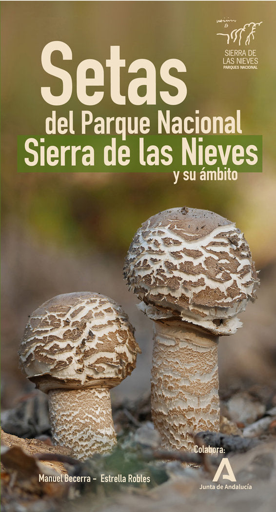 SETAS DEL PARQUE NACIONAL SIERRA DE LAS NIEVES Y SU AMBITO - 9788412230246 Imagen principal del producto