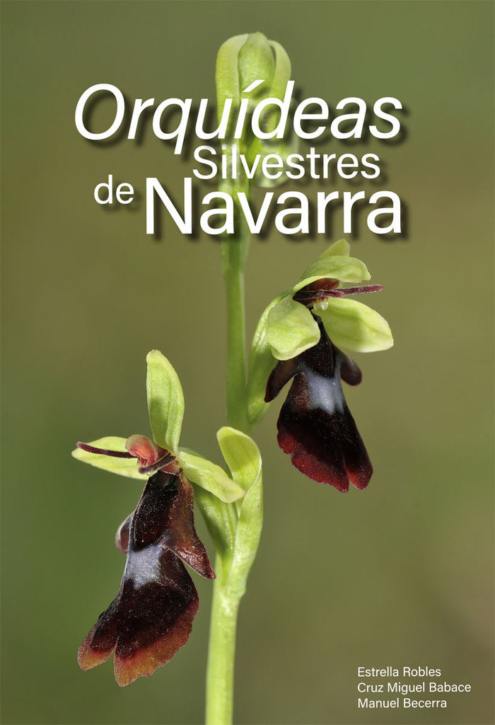 9788412230260 Imagen principal del producto