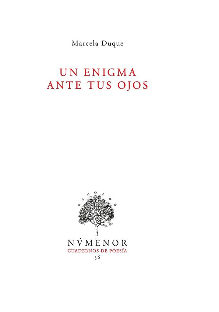 UN ENIGMA ANTE TUS OJOS I Duque Ramírez, Marcela I Fundación Altair I 9788412258486