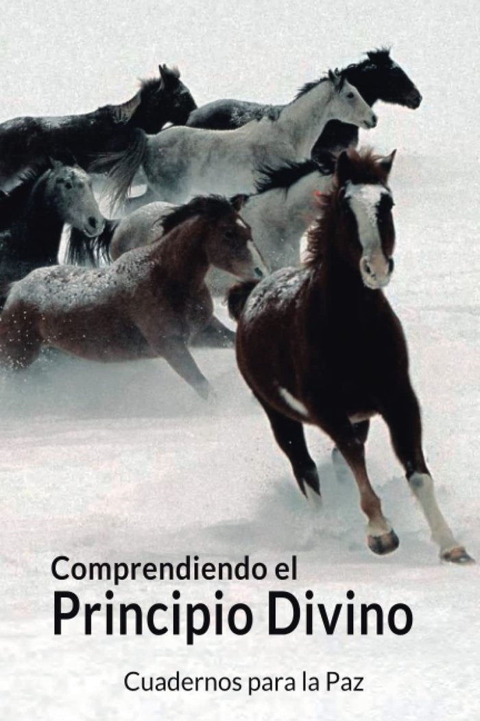 COMPRENDIENDO EL PRINCIPIO DIVINO I Moon, Sun Myung I Editorial cuadernos para la Paz I 9788412445794