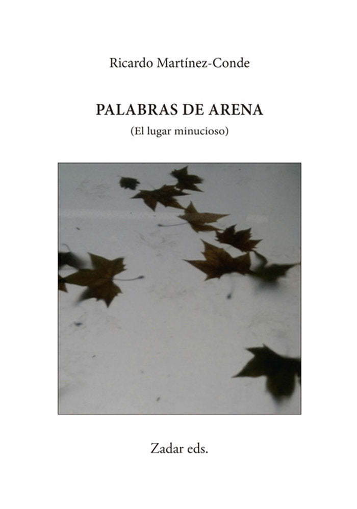 PALABRAS DE ARENA I Martínez-Conde, Ricardo I Fundación Jorge Guillén I 9788412656954 Imagen principal del producto