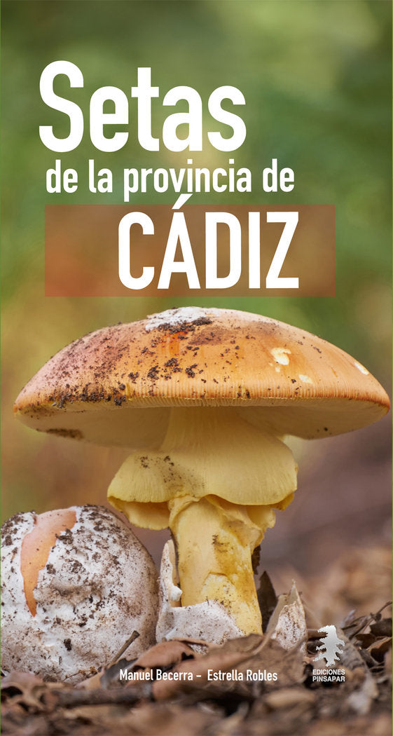 GUIA CAMPO SETAS PROVINCIA DE CADIZ - 9788412706420 Imagen principal del producto