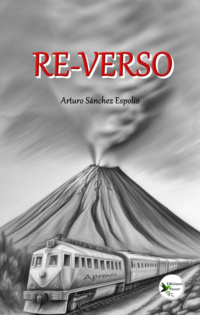 RE-VERSO I Sánchez Espolio, Arturo I Ediciones Passer0 I 9788412748093 Imagen principal del producto