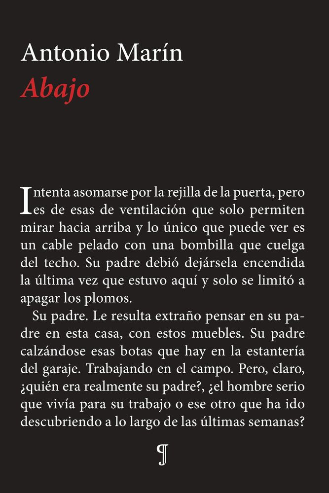 ABAJO - 9788412994117 Imagen principal del producto