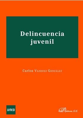 DELINCUENCIA JUVENIL - 9788413240466 Imagen principal del producto