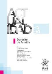 DERECHO DE FAMILIA 2020 - 9788413366623 Imagen principal del producto