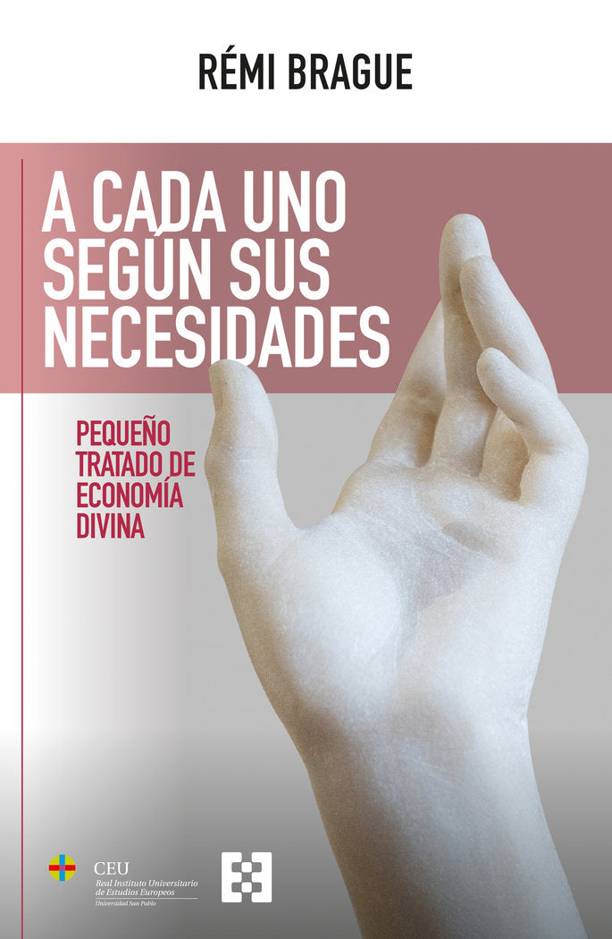 A CADA UNO SEGUN SUS NECESIDADES | BRAGUE, REMI | ENCUENTRO EDITORIAL | 9788413392080