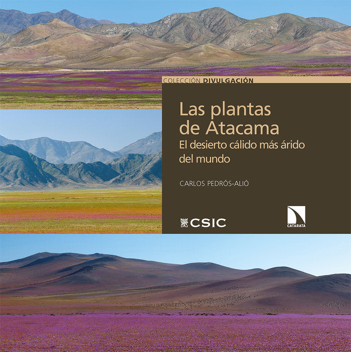 9788413521916 Imagen principal del producto