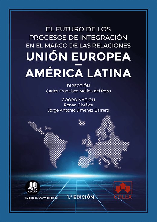 EL FUTURO DE LOS PROCESOS DE INTEGRACION EN EL MARCO DE LAS - 9788413595368 Imagen principal del producto