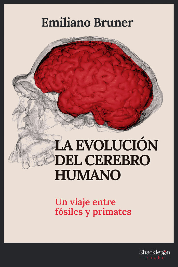 EVOLUCION DEL CEREBRO HUMANOLA - 9788413612249 Imagen principal del producto
