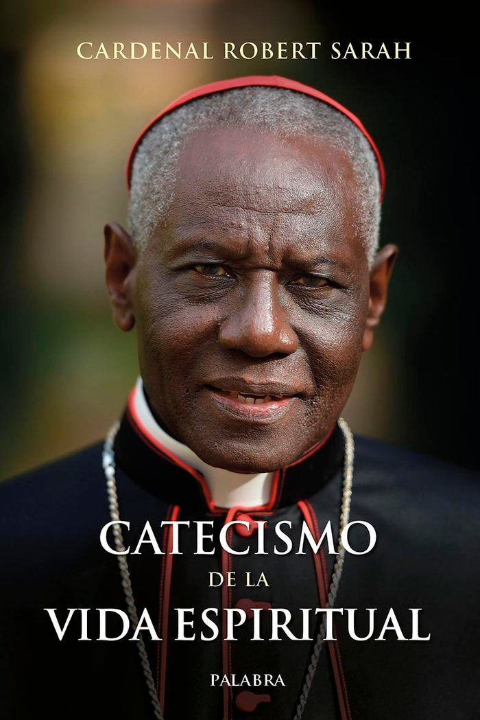 CATECISMO DE LA VIDA ESPIRITUAL - 9788413682365 Imagen principal del producto