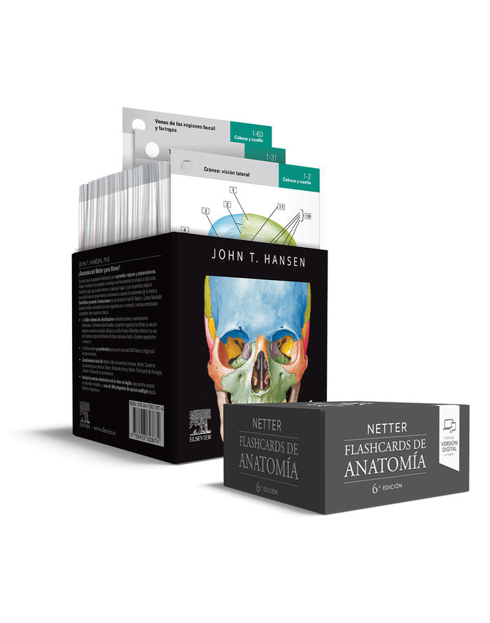 NETTER FLASHCARDS DE ANATOMIA 6ª ED - 9788413823874