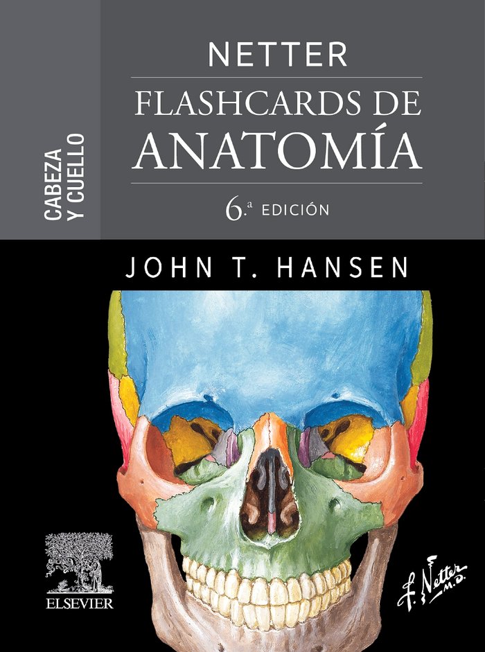 NETTER FLASHCARDS DE ANATOMIA CABEZA Y CUELLO 6ª ED - 9788413823935 Imagen principal del producto