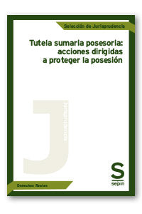 TUTELA SUMARIA POSESORIA ACCIONES DIRIGIDAS PROTEGER POSESI - 9788413880204 Imagen principal del producto