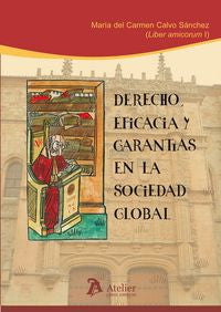 DERECHO EFICACIA Y GARANTIAS EN LA SOCIEDAD GLOBAL - 9788415690238