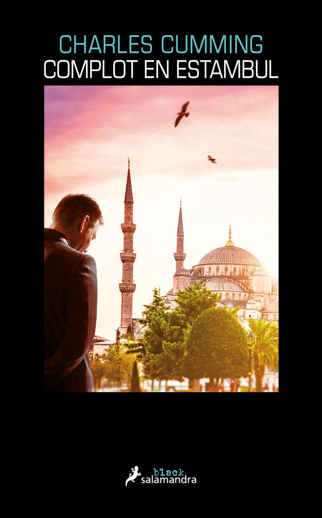 COMPLOT EN ESTAMBUL - 9788416237302 Imagen principal del producto