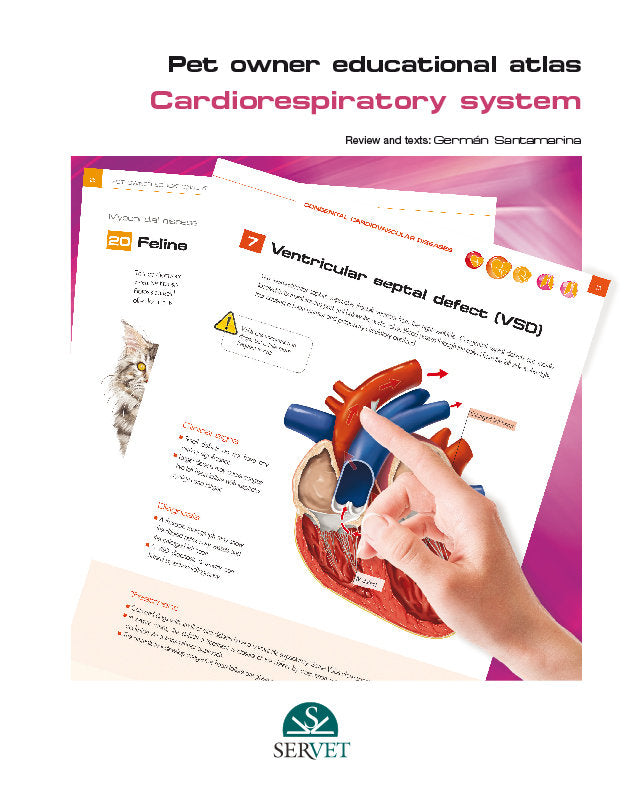 PET OWNER EDUCATIONAL ATLAS CARDIORESPIRATORY SYSTEM - 9788416315949 Imagen principal del producto
