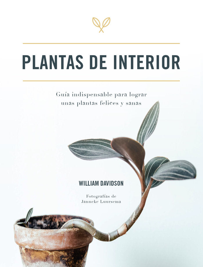 PLANTAS DE INTERIOR - 9788416407927 Imagen principal del producto