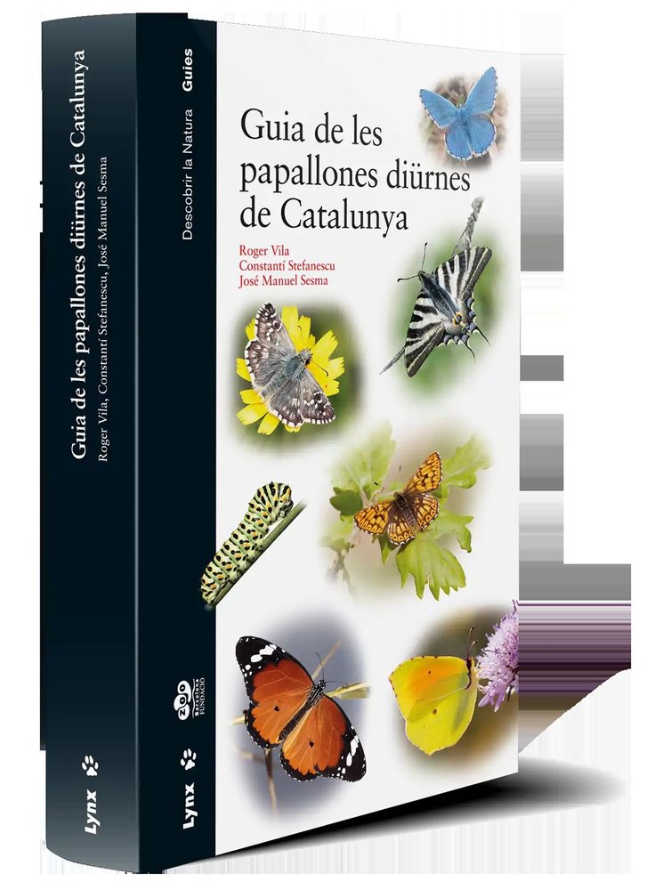 GUIA DE LES PAPALLONES DIÜRNES DE CATALUNYA - 9788416728060 Imagen principal del producto