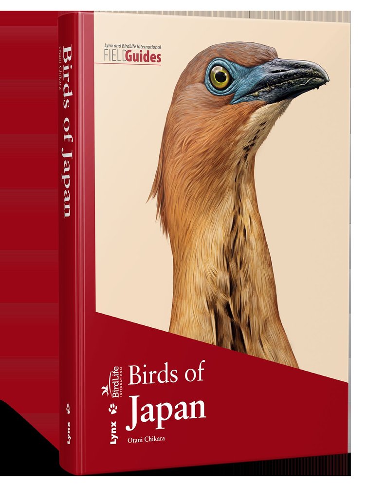 BIRDS OF JAPAN - 9788416728121 Imagen principal del producto