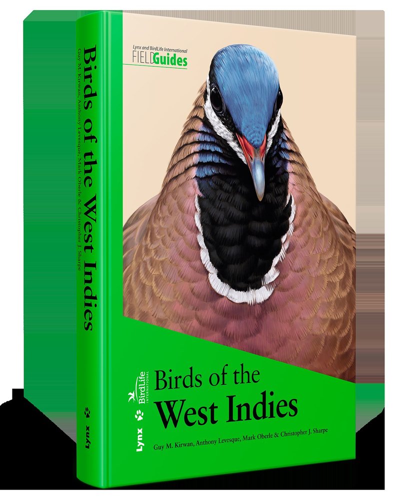 BIRDS OF THE WEST INDIES - 9788416728183 Imagen principal del producto