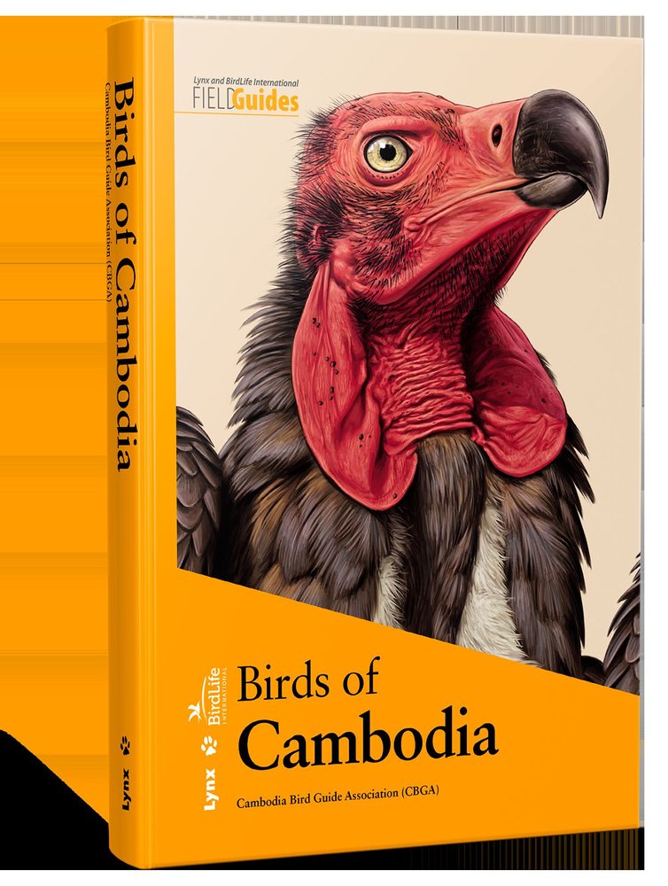 BIRDS OF CAMBODIA - 9788416728206 Imagen principal del producto