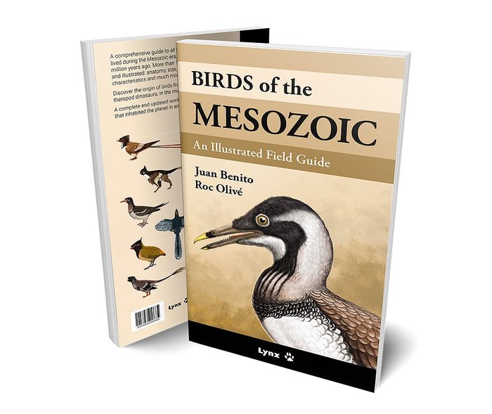 BIRDS OF THE MESOZOIC - 9788416728527 Imagen principal del producto