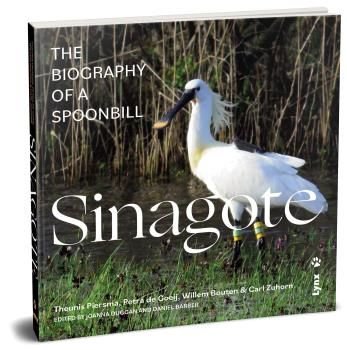 SINAGOTE THE BIOGRAPHY OF A SPOONBILL - 9788416728558