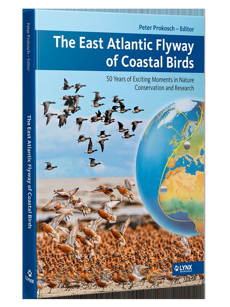 THE EAST ATLANTIC FLYWAY OF COASTAL BIRDS - 9788416728695 Imagen principal del producto