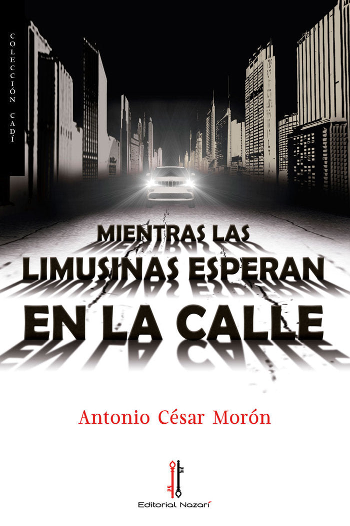 MIENTRAS LAS LIMUSINAS ESPERAN EN LA CALLE - 9788416764082