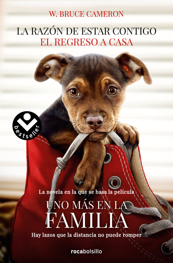 RAZON DE ESTAR CONTIGO EL REGRESO A CASA PORTADA PELICULA - 9788416859351 Imagen principal del producto